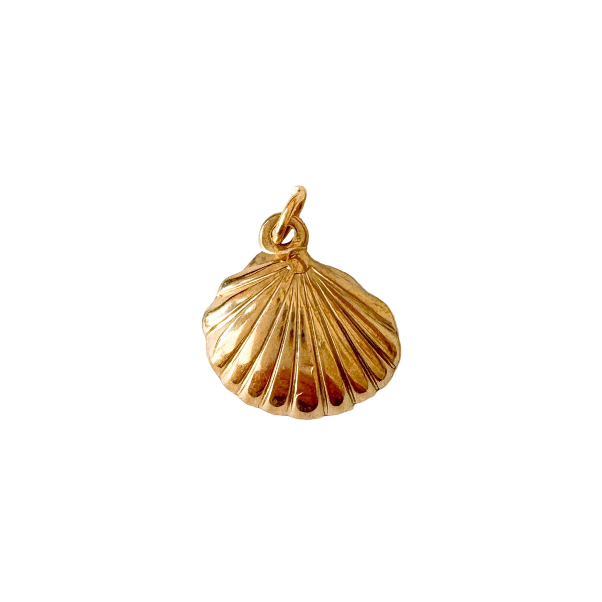 Gold shell pendant on a white background