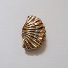 Shell Hair Claw Gold
