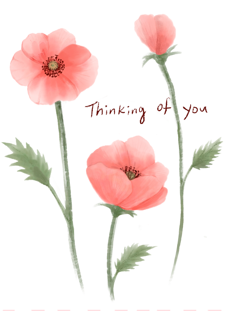 Greeting Cards Thinking of you poppies White